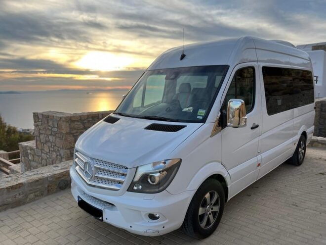 Private Tour Mykonos - Customer Experience and Commitment