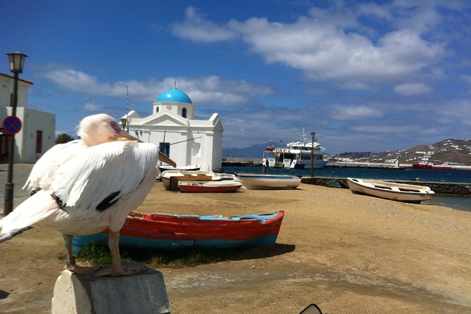 Private Tour: Mykonos Island in Half a Day - Cancellation Policy: Refunds and Changes