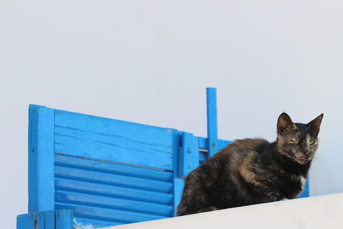 Private Tour: Mykonos Island in Half a Day - Traveler Photos: Capturing Memorable Moments