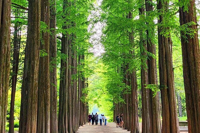 Private Tour Nami Island & Morning Calm Garden - Good To Know