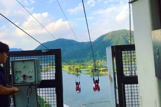 Private Tour Nami Island & Morning Calm Garden - Who Will Love This Tour?