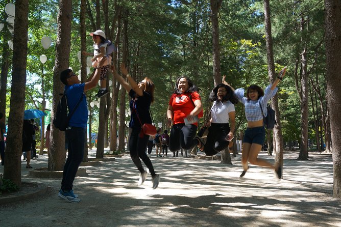 Private Tour: Nami Island & Petite France 'or' Morning Calm - Tour Details
