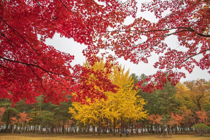 (Private Tour) Nami Island Railbike Garden of Morning Calm - Cancellation Policy