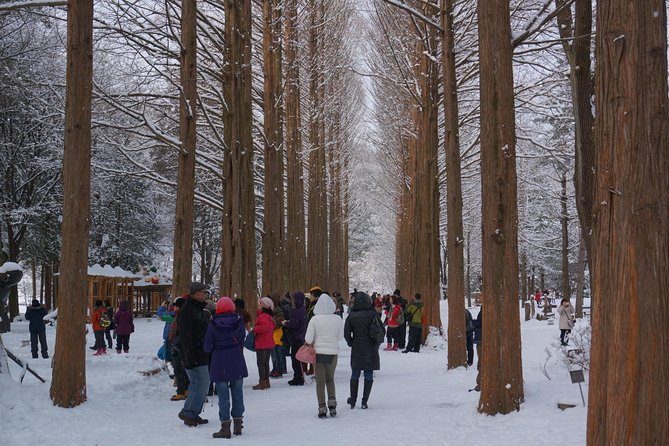 [Private Tour] Nami Island & Snow Viewing and Snow Sled (More Members Less Cost) - Tour Details and Booking