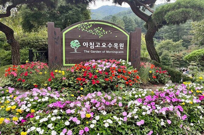 [Private Tour] Nami Island+Morning calm Garden+Petite France - How the Day Unfolds