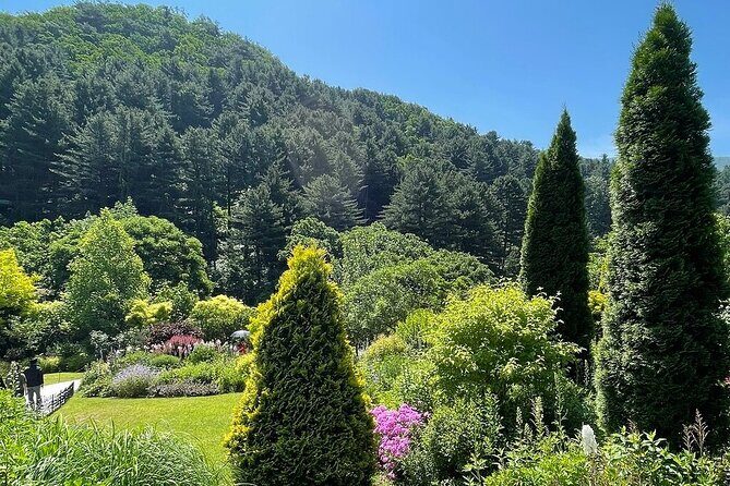 [Private Tour] Nami Island+Morning calm Garden+Petite France - Who’s This Tour Best For?