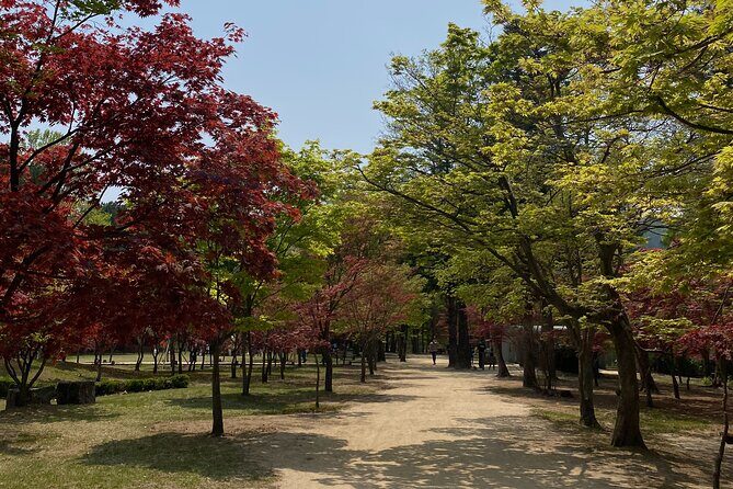 [Private Tour] Nami Island+Morning calm Garden+Petite France - What to Expect From the Itinerary