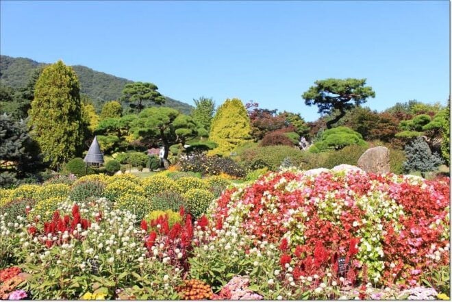 [Private Tour] Nami Island+Morning Calm Garden+Petite France - Inclusions and Exclusions