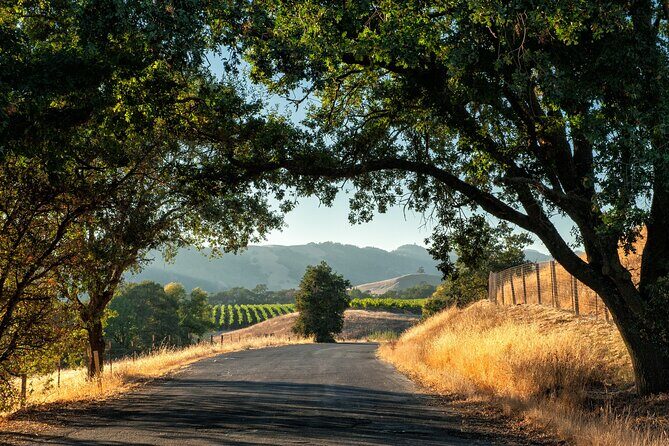 Private Tour Napa and Sonoma Valley Wine - An Intimate Look at the Napa & Sonoma Valley Private Tour