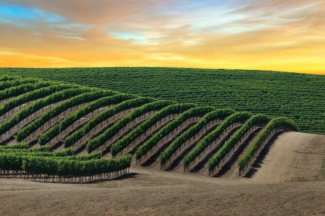 Private Tour Napa and Sonoma Valley Wine - Analyzing the Experience: Is it Worth the Price?