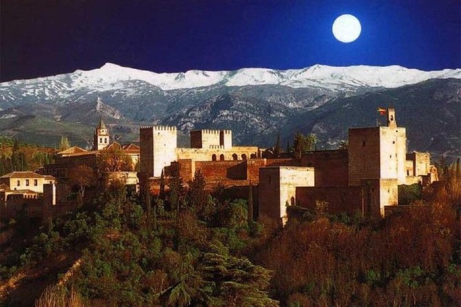 Private Tour: Nasrid Palaces, Generalife, Alhambra and Albaicín. - Ticketing and Appointments