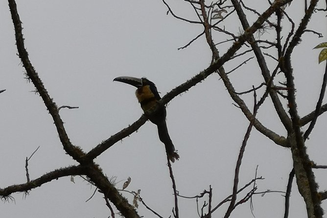 Private Tour - Natural Bird Reserve - Proaves (Hiking/Trekking) - Location and Duration
