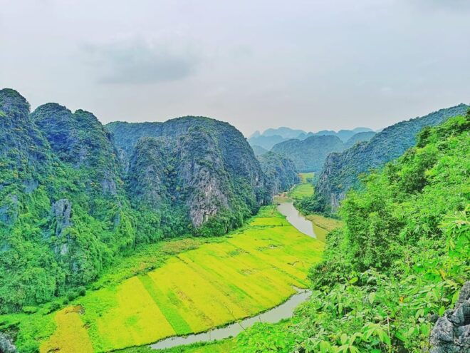 PRIVATE TOUR Ninh Binh One Day - Hoa Lu- Tam Coc - Mua Cave - Biking Tour Experience