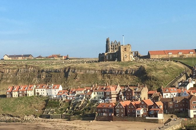 Private Tour: North Yorkshire Moor and Whitby From York in 16 Seater Minibus - Tour Guide