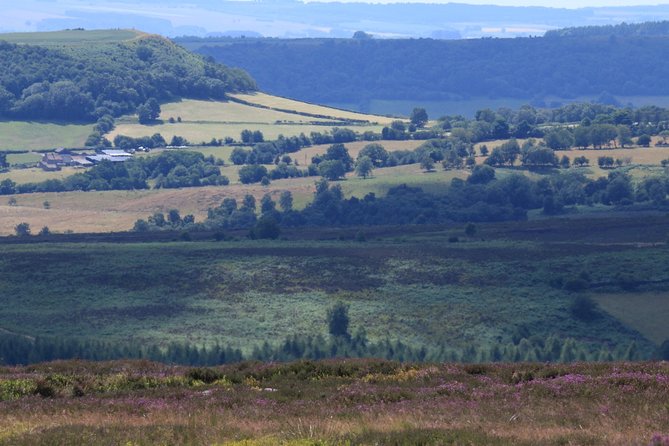 Private Tour: North Yorkshire Moors and Whitby From Harrogate in 16 Seat Minibus - Booking Information