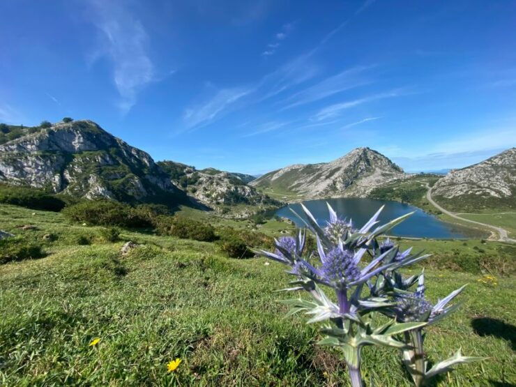 Private Tour Northern Spain 10 Days - Host and Greeter Services