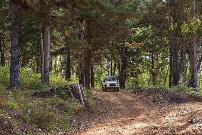 Private Tour: Nuns Valley & Sea Cliff - Half Day Jeep Tour - Tour Highlights