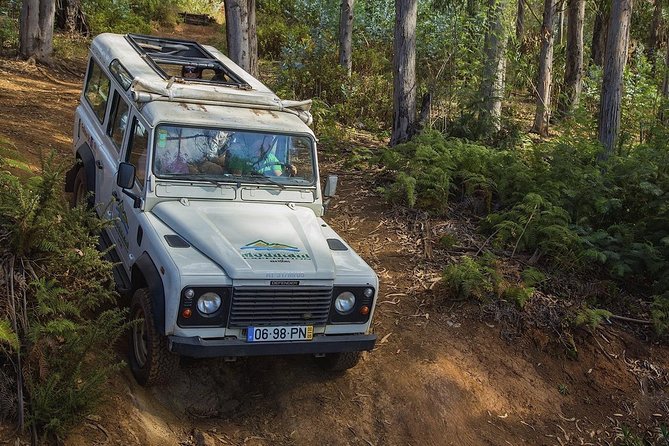 Private Tour: Nuns Valley & Sea Cliff - Half Day Jeep Tour - Pickup and Drop-off Information