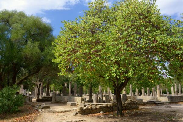 Private Tour of Ancient Olympia- Journey of Legends - The Sum Up