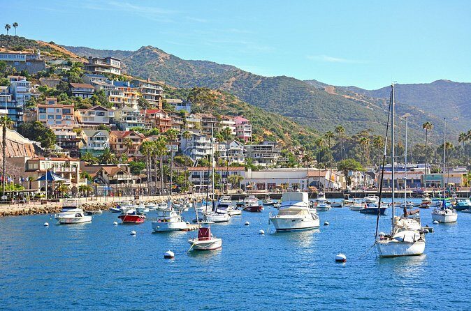 Private Tour of Avalon from Catalina Island - FAQs