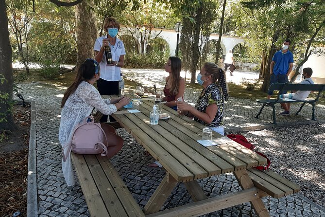Private Tour of Azeitão / Palmela / Setúbal Wines - Refund Policy and Weather Conditions