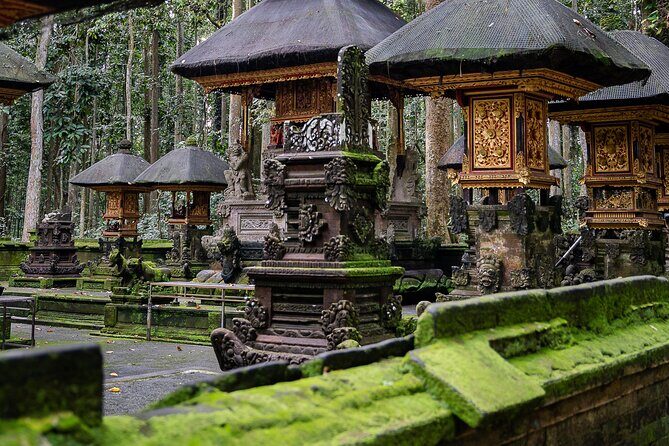 Private Tour of Balis Temples, Jungles & Hidden Gems - FAQs