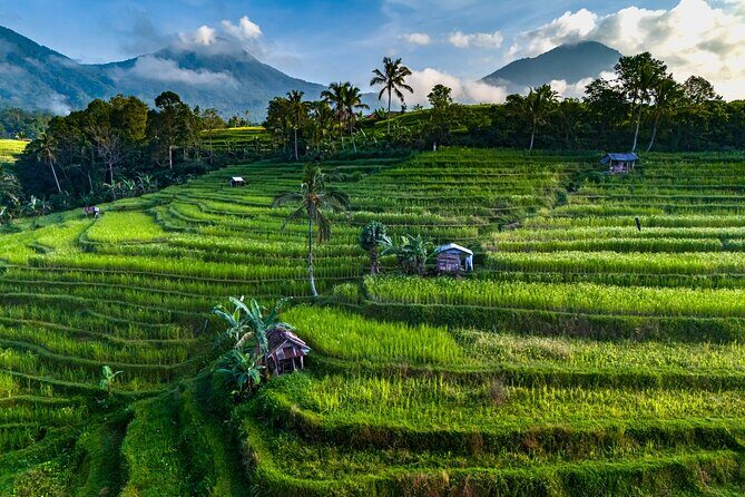 Private Tour of Balis Temples, Rice Terraces & Villages - FAQ