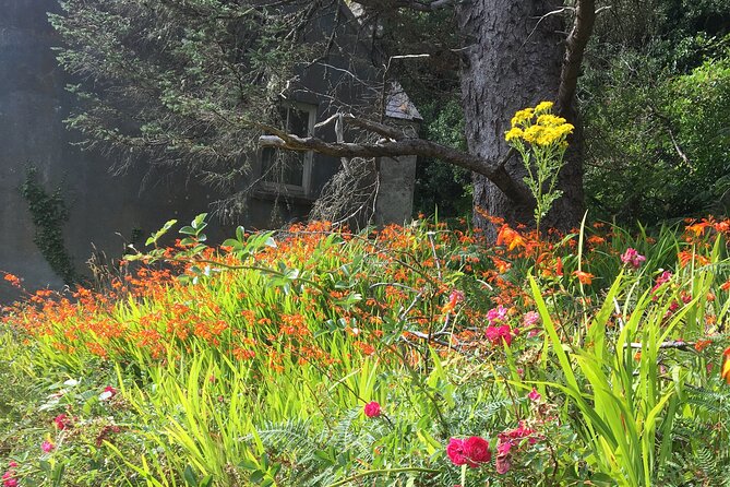 Private Tour of Beara Peninsula - Booking and Pricing Information