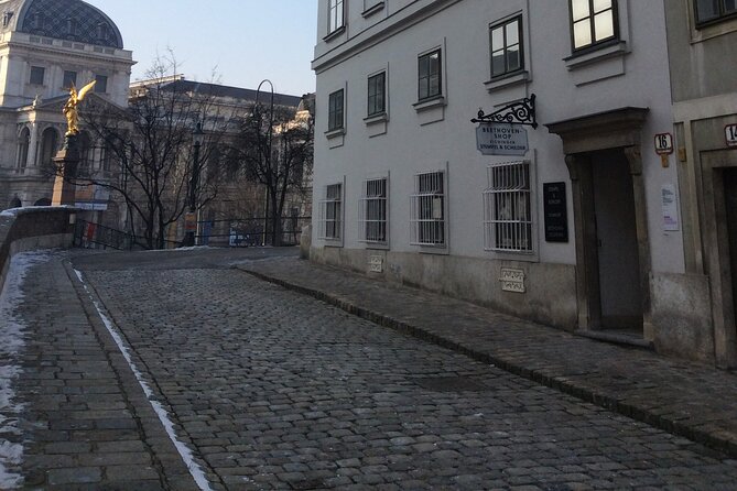 Private Tour of Beethovens Vienna – Retracing Original Venues With an Expert - Iconic Spots to Explore