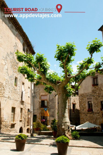 Private Tour of Besalú, Dalí & Girona - Included Experiences