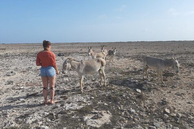 Private Tour of Bonaire - Good To Know  
