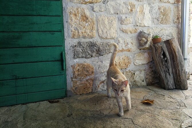 Private Tour of Brač Island With Olive Oil Tasting - Cancellation Policy