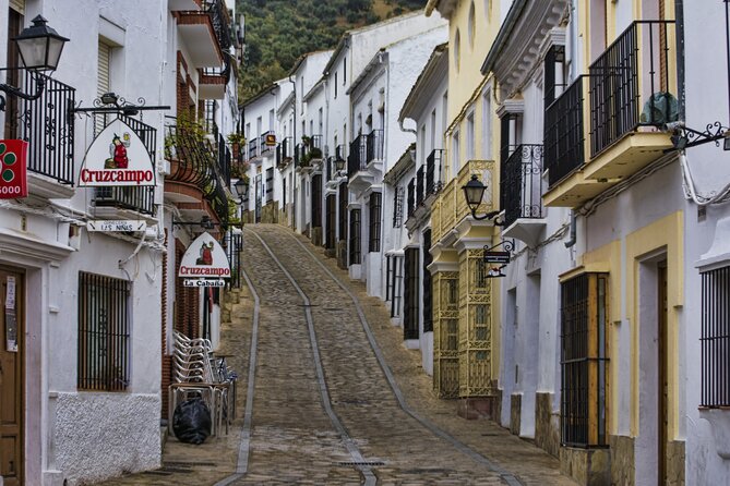 Private Tour of Cadiz and Jerez De La Frontera From Seville - Tour Highlights