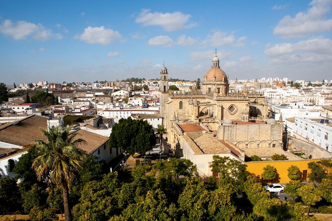 Private Tour of Cadiz and Jerez De La Frontera From Seville - The Sum Up