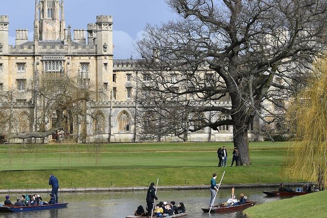 Private Tour of Cambridge - Ratings Breakdown
