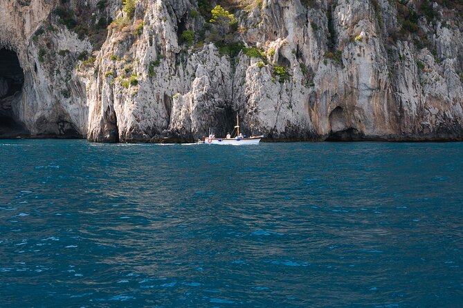 Private Tour of Capri & Anacapri With Scenic Shared Boat Ride - Inclusions and Amenities