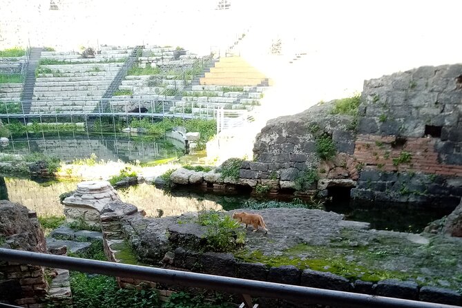 Private Tour of Catania and the Riviera of the Cyclops - Tour Details