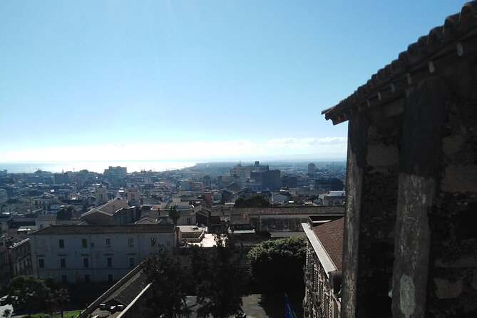 Private Tour of Catania and the Riviera of the Cyclops - Reviews