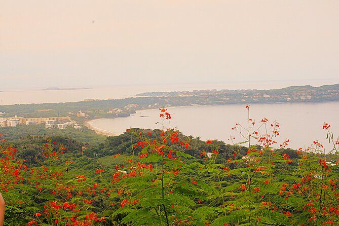 Private Tour of Cerro del Mono - Practical Tips for Your Visit