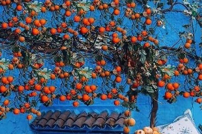 Private Tour of Chefchaouen From Tangier - Highlights of the Private Tour