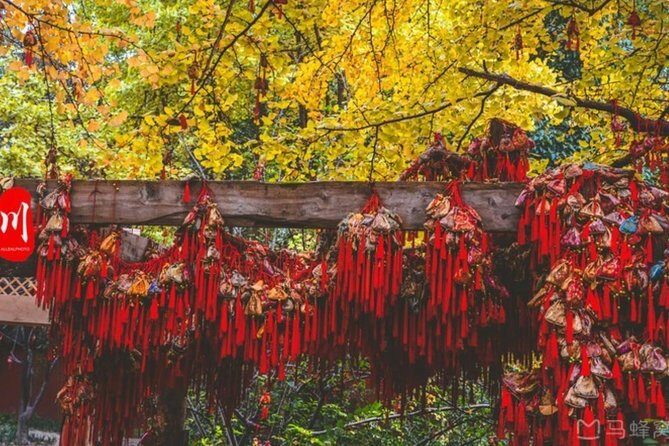 Private Tour of Chengdu's Top 3 Must-go Attractions w Photo Shoot - What to Expect from the Tour: Practical Details