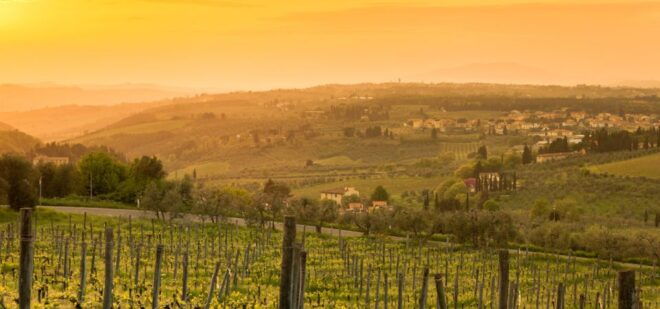 Private Tour of Chianti, Siena and San Gimignano by Minivan - Reviews and Ratings