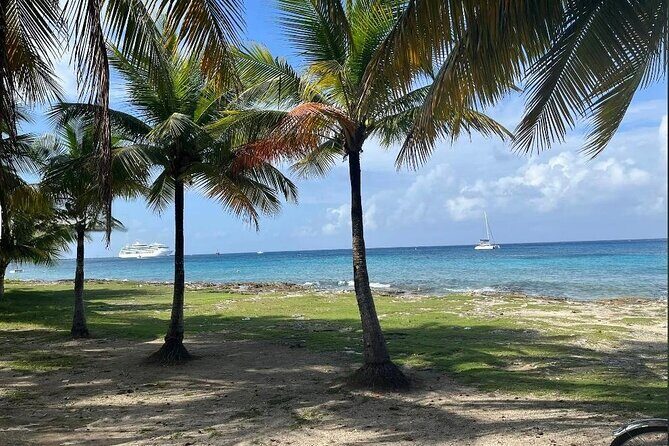 Private Tour of Cozumel in your own way Groups up to 4 People - Who Is This Tour Best Suited For?