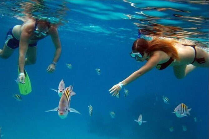 Private Tour of Cozumel in your own way Groups up to 6 People - Final Thoughts