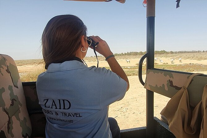 Private Tour of Desert Castles Eastern Jordan With Optional Azraq Wetland Visit - Tour Overview