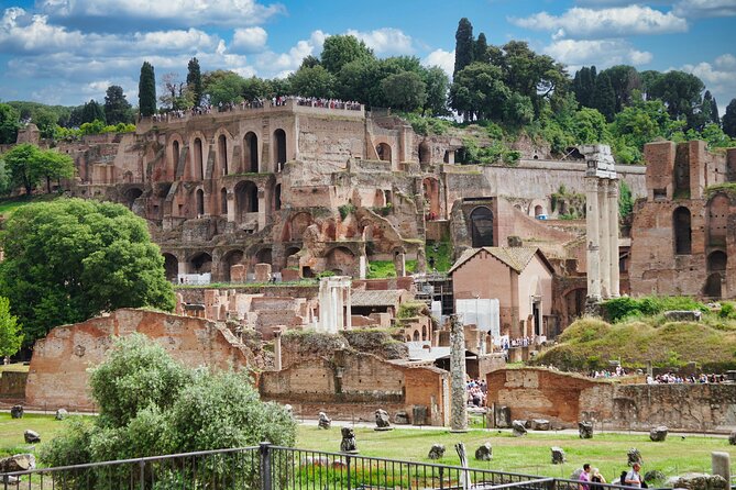 Private Tour of Domus Tiberiana and Ancient Rome - Domus Tiberiana Overview