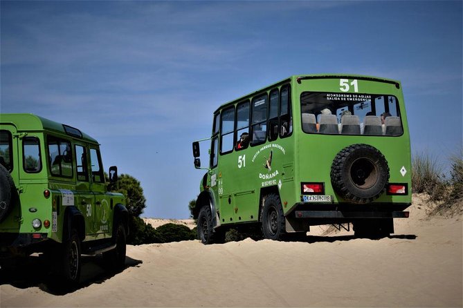 Private Tour of Doñana in 4x4 and El Rocío - Itinerary Overview