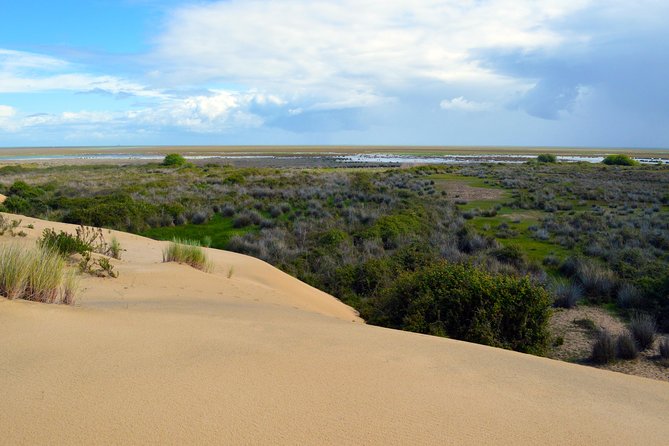 Private Tour of Doñana in 4x4 and El Rocío - Booking and Additional Information