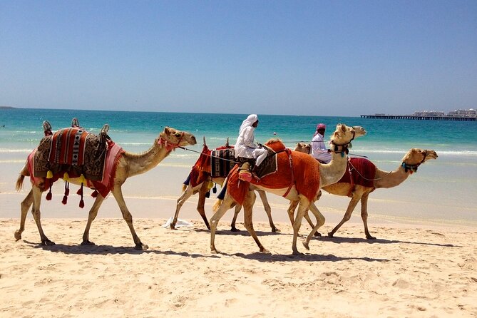 Private Tour of Dubai Experience the Diversity of the City - Common Questions