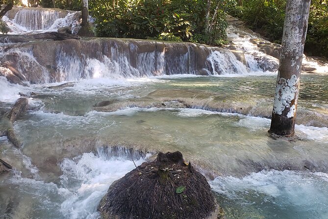 Private Tour of Dunns River Falls From Montego Bay Resorts - Terms and Conditions